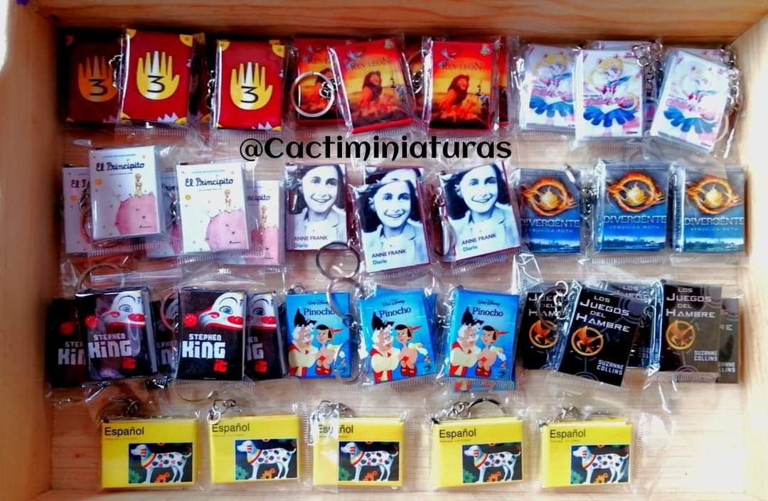 Llaveros de Minilibros Artesanales 10 piezas – Literatura General, Clásica, Juvenil