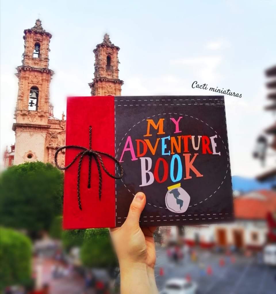 Album my adventure book "UP"