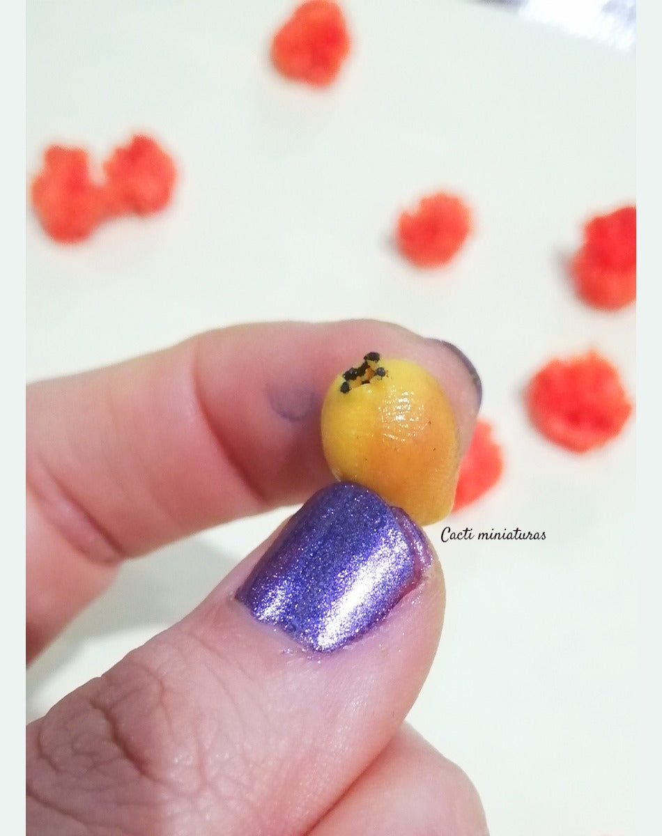 Mini ofrenda artesanal - Personalizada día de muertos