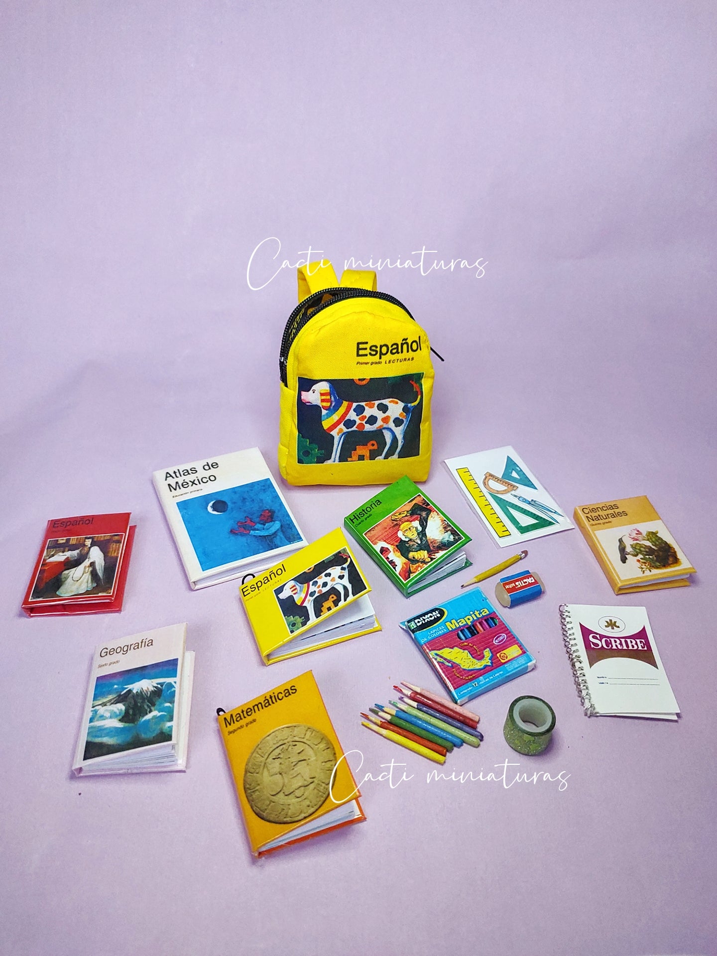 Colección regreso a clases-mini útiles y minilibros de primaria