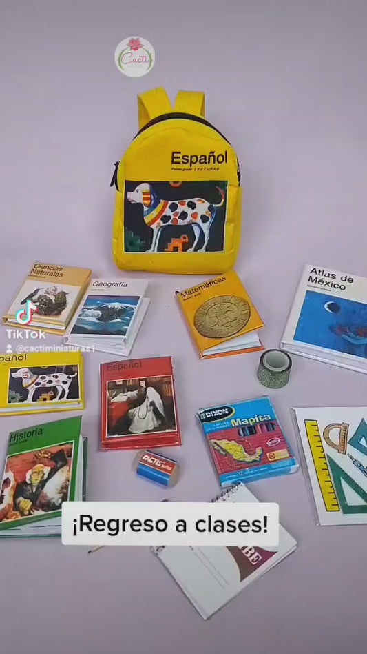 Colección regreso a clases-mini útiles y minilibros de primaria